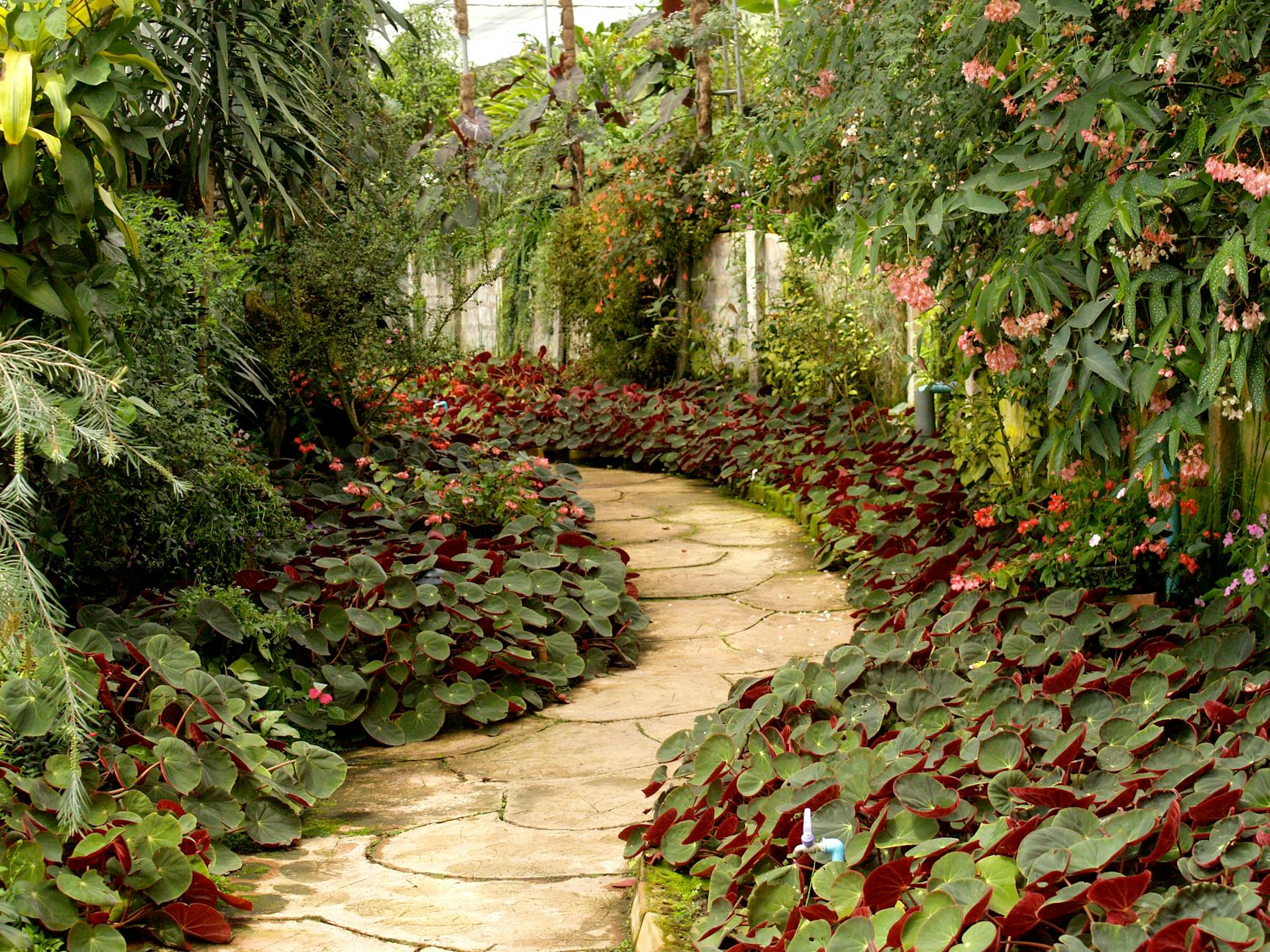 Orlando botanical gardens representing serene things to do in Orlando besides theme parks