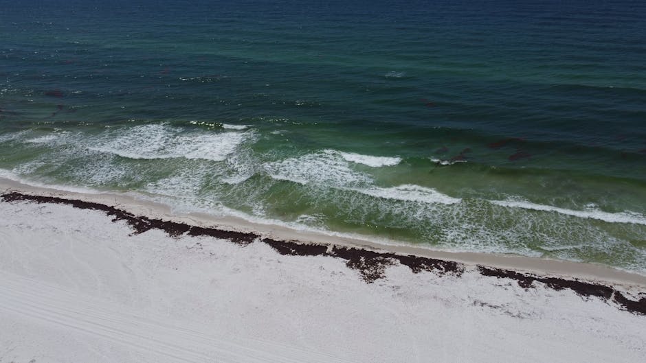 Clearwater Beach Florida white sand Gulf Coast day trip Orlando