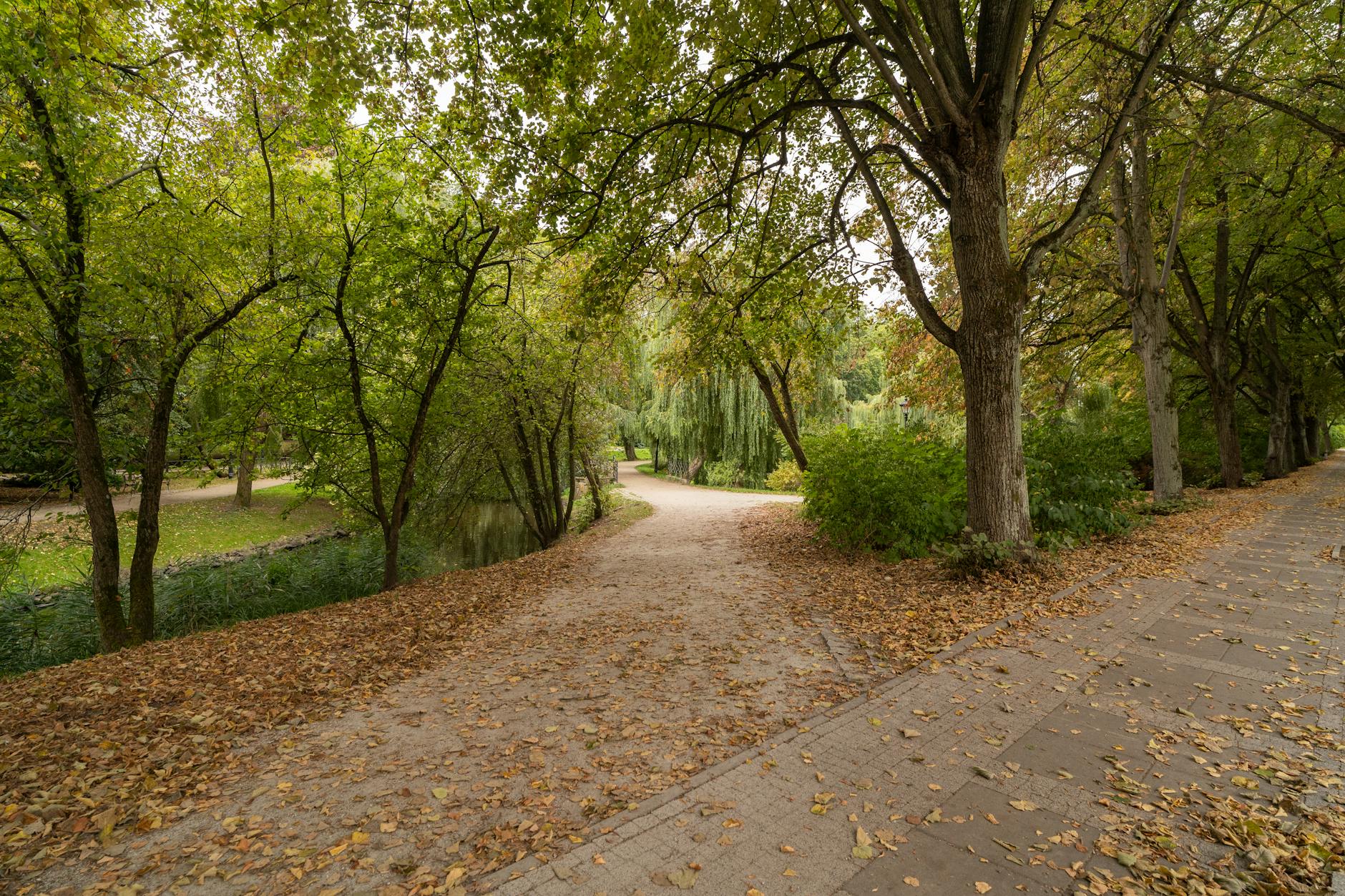 Empty theme park path