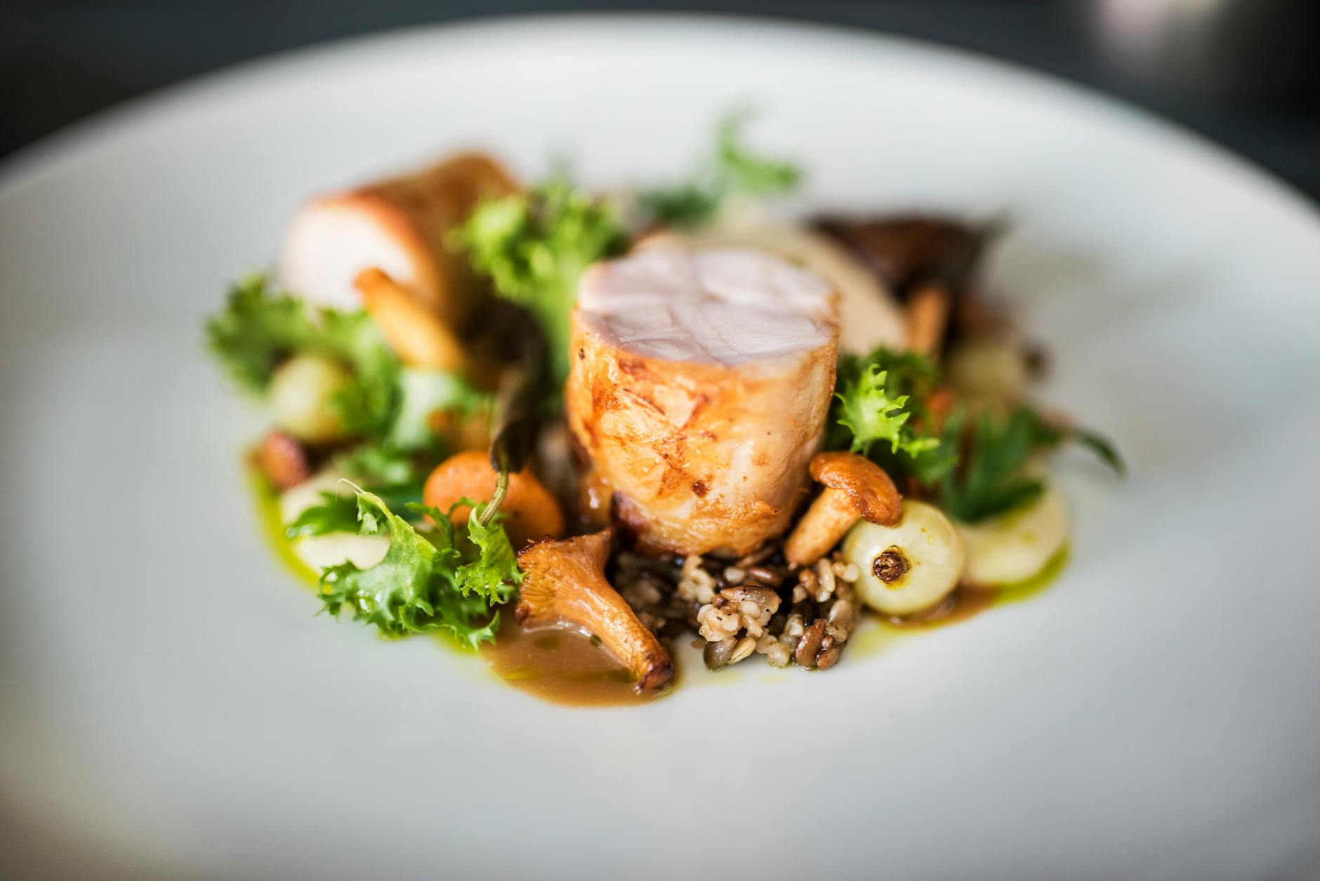 Fine dining restaurant plated gourmet entree