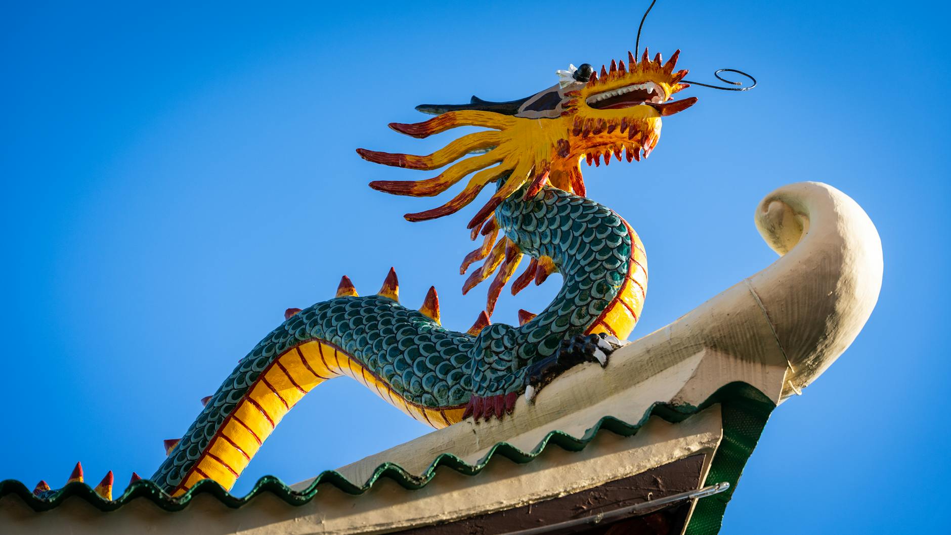 Mythical dragon sky flying
