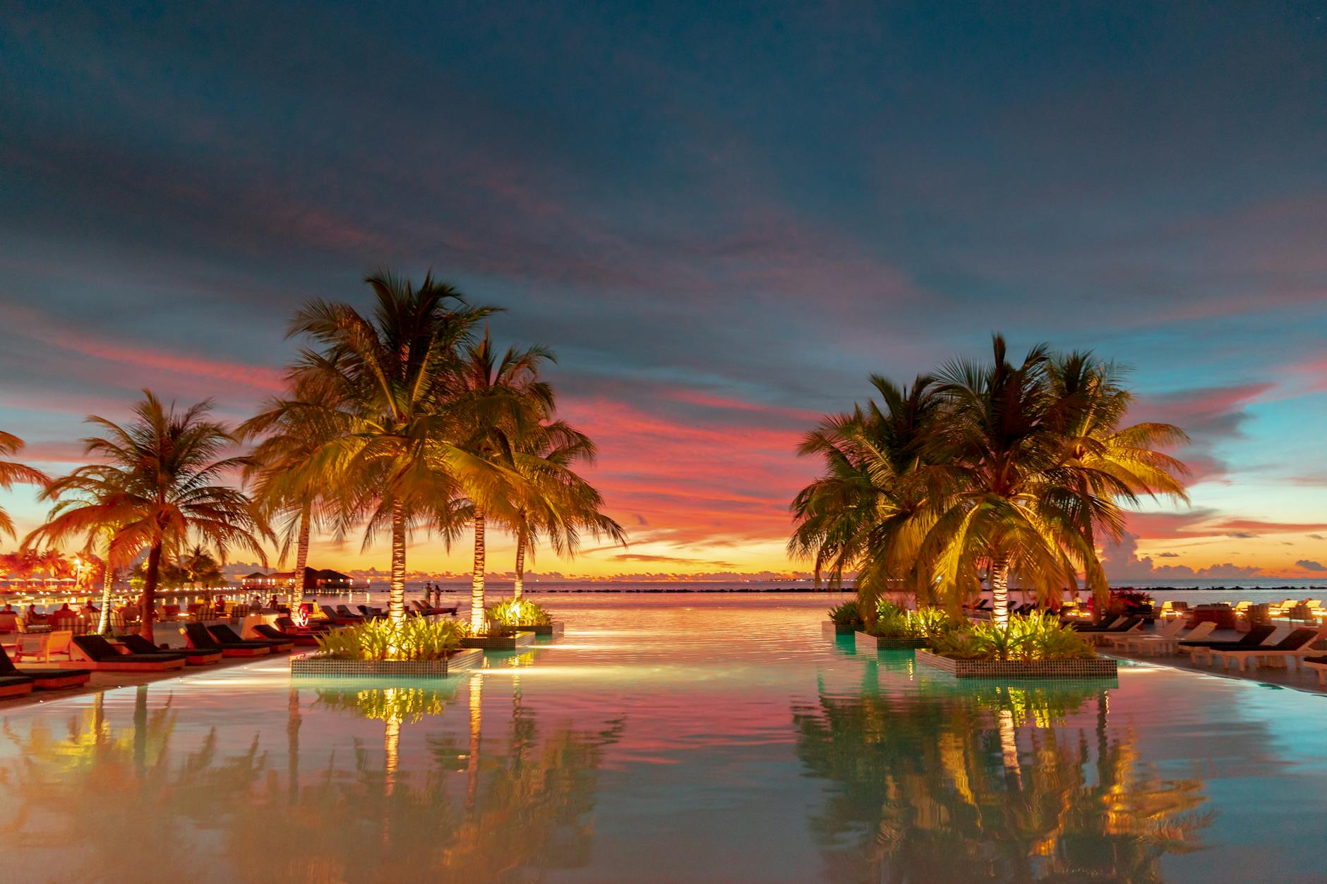 Tropical resort palm trees pool sunset