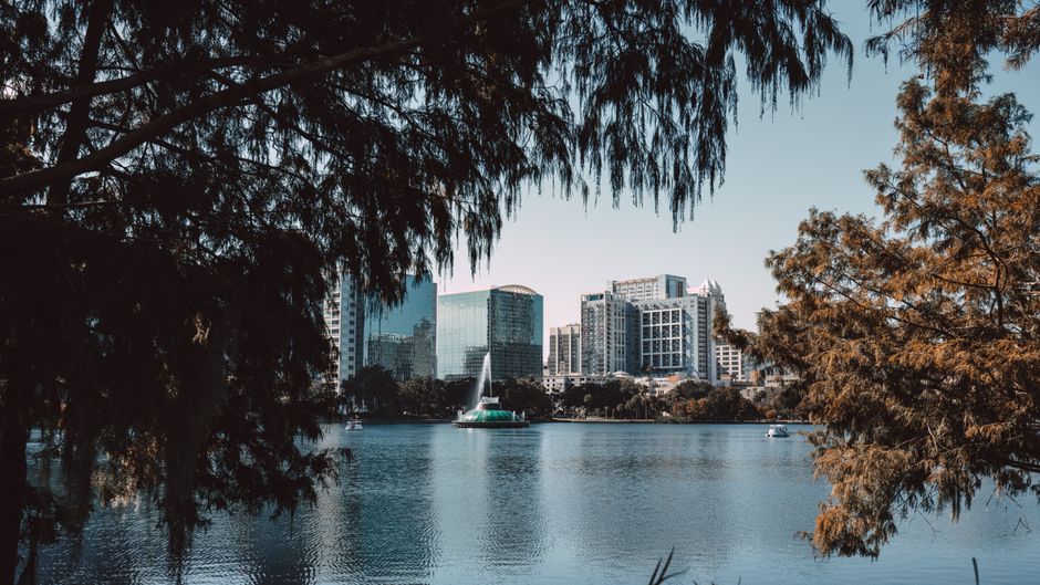 Orlando city lake (Free & Cheap Things to Do in Orlando)