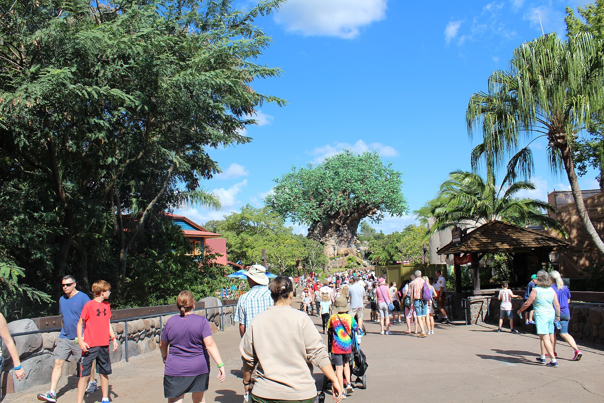 The Tree of Life at Disney's Animal Kingdom seen along the main walkway with guests approaching