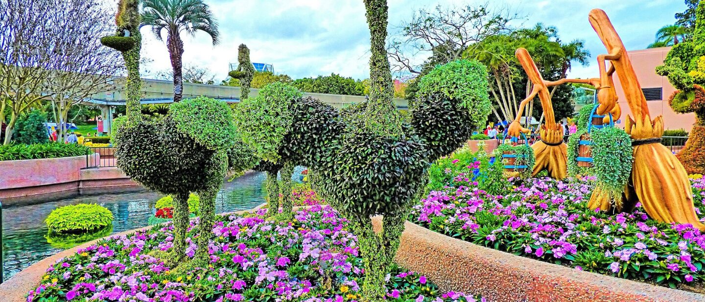 Fantasia ostrich topiaries surrounded by purple flower beds at the EPCOT Flower and Garden Festival