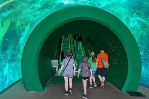 Visitors walking through the green warp-pipe portal tunnel into Super Nintendo World at Epic Universe, with starry projections overhead