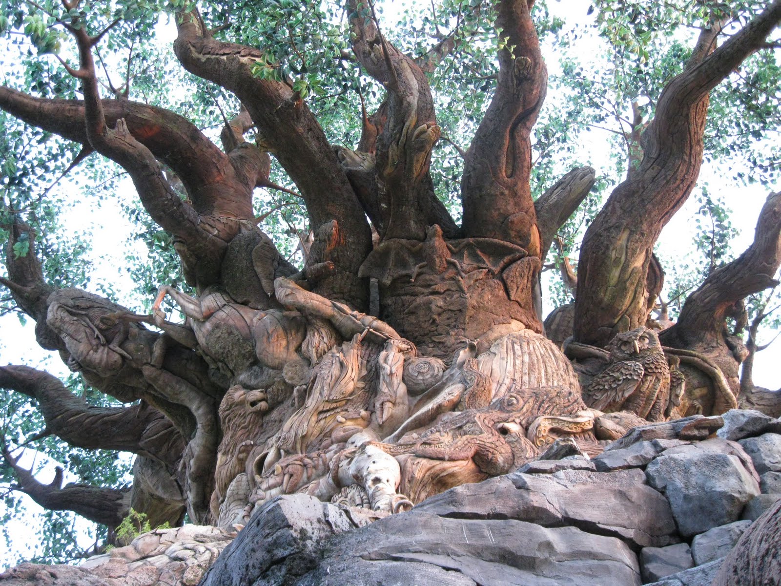 Close view of the carved trunk and twisting branches of the Tree of Life at Disney's Animal Kingdom